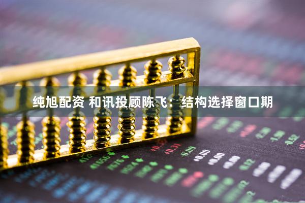 纯旭配资 和讯投顾陈飞：结构选择窗口期