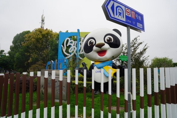 股民之家 第八届进博会开幕在即，青浦区多维发力保障“越办越好”