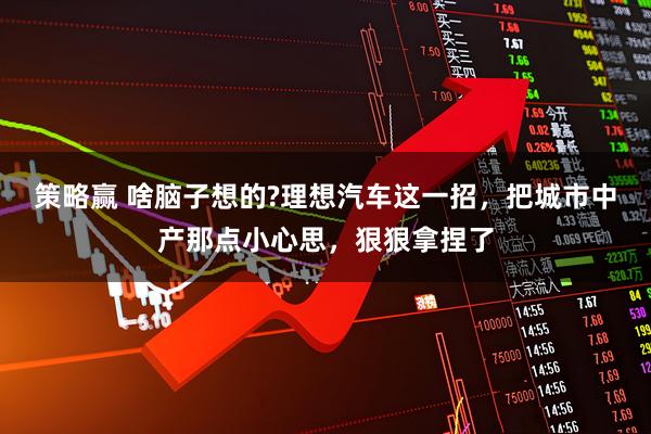 策略赢 啥脑子想的?理想汽车这一招，把城市中产那点小心思，狠狠拿捏了